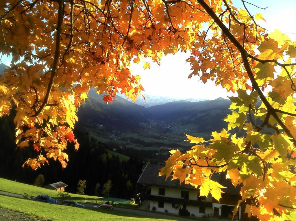 Hof Hamoos Appartement Kitzbühel Buitenkant foto